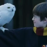 Allt om: Harry Potter – Karaktären som förändrade en hel generation